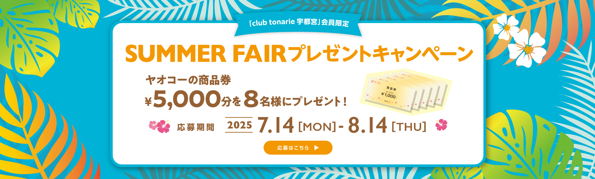 SUMMER FAIR プレゼントキャンペーン