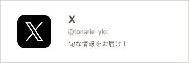 公式X